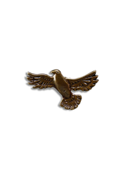 Hawk Hat Pin